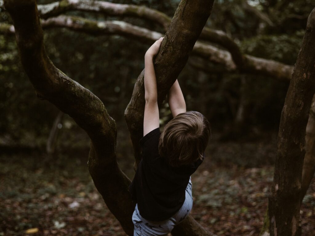 child climbing tree